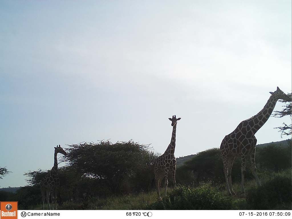 e037090d-b85e-4c26-8b28-b7cdd06bfc10