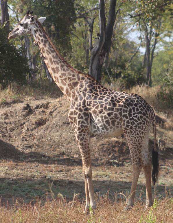 ec063b59-11e4-48cf-b853-9d8d88c46839