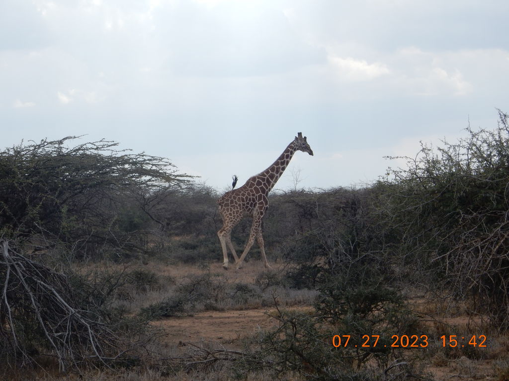 55c7dc1d-8d45-49ad-9506-e6ee3ae06060