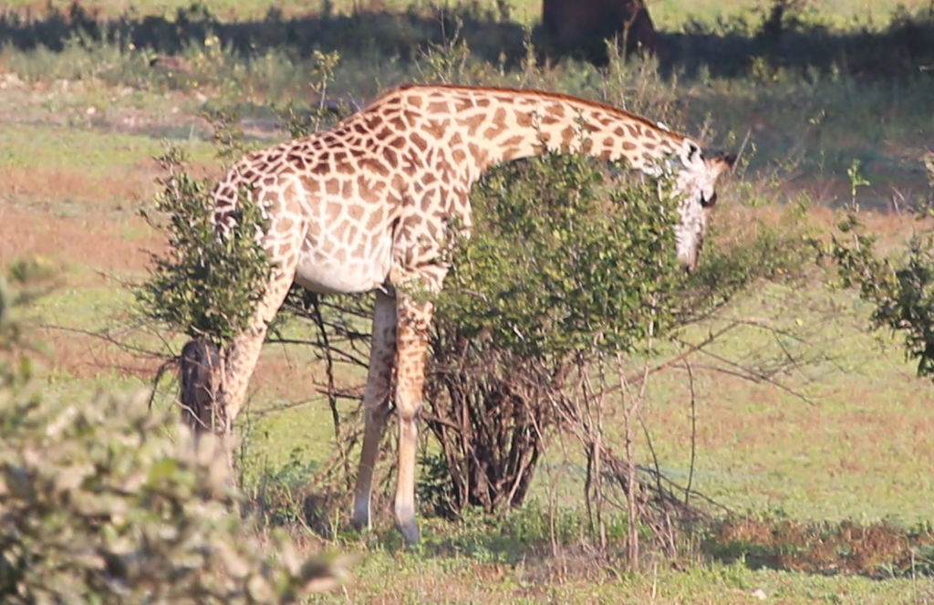 be9b4780-5a91-4048-a1bb-fdf69b2320f9