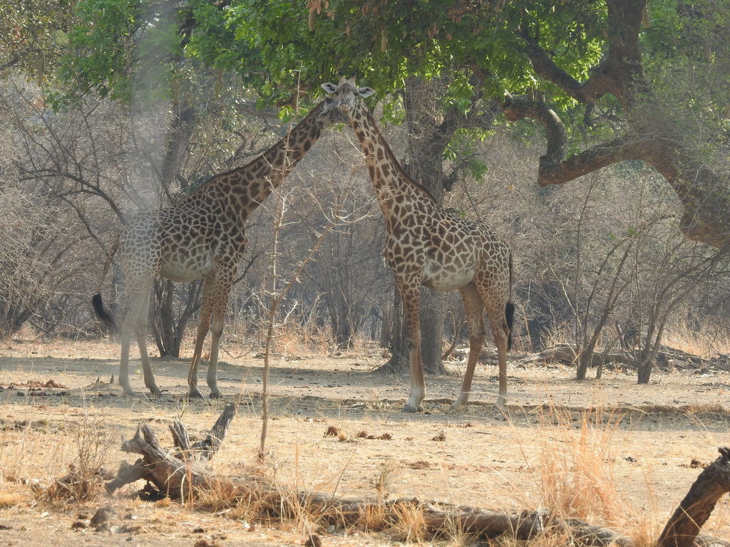 b0c8753b-d6c6-45a2-80aa-5951739c17c4