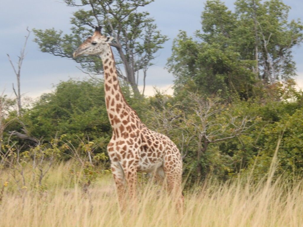 ecd95703-4615-4b63-85d1-02416a8c1b93