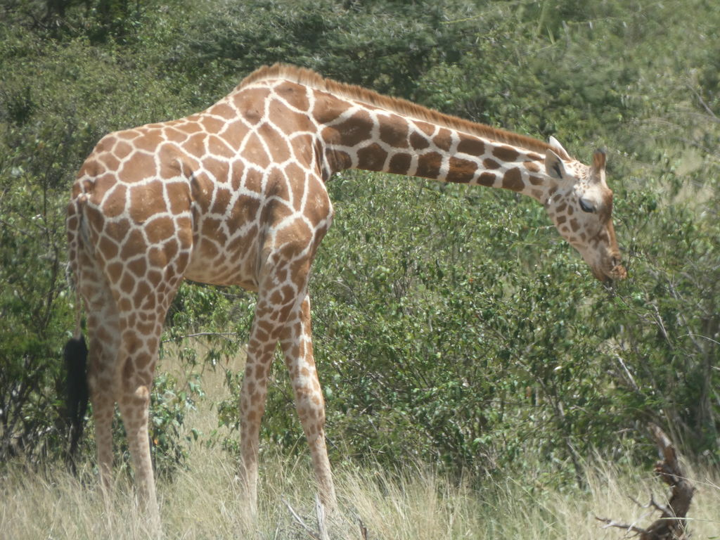 e3e27e5b-8679-4928-b99e-a9774f2e063d