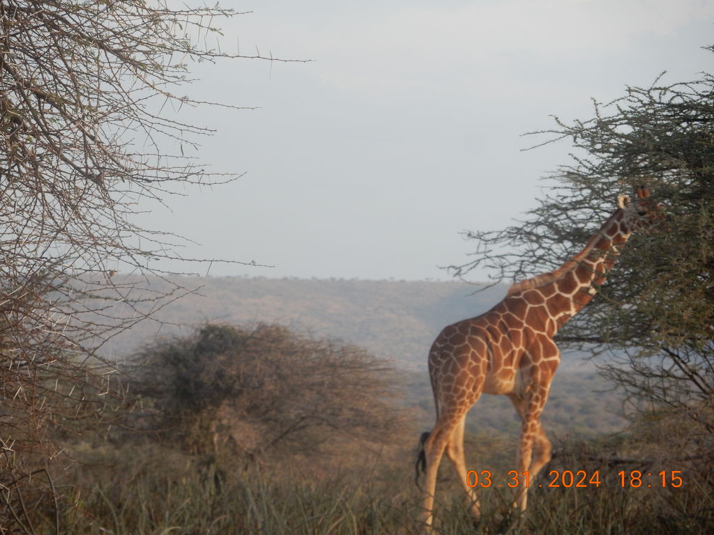 e7d10ee6-09c1-4ee8-8792-0647de2e4176