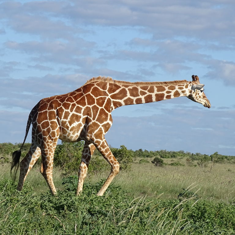 e3e27e5b-8679-4928-b99e-a9774f2e063d