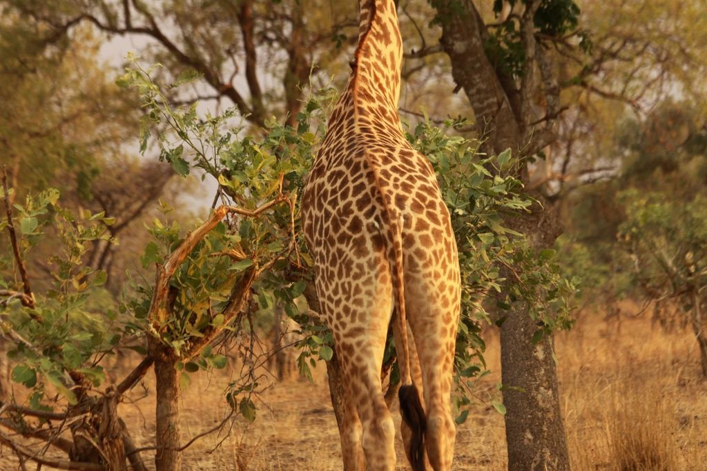 82f2fd1d-846b-448f-9e55-9452d254146b