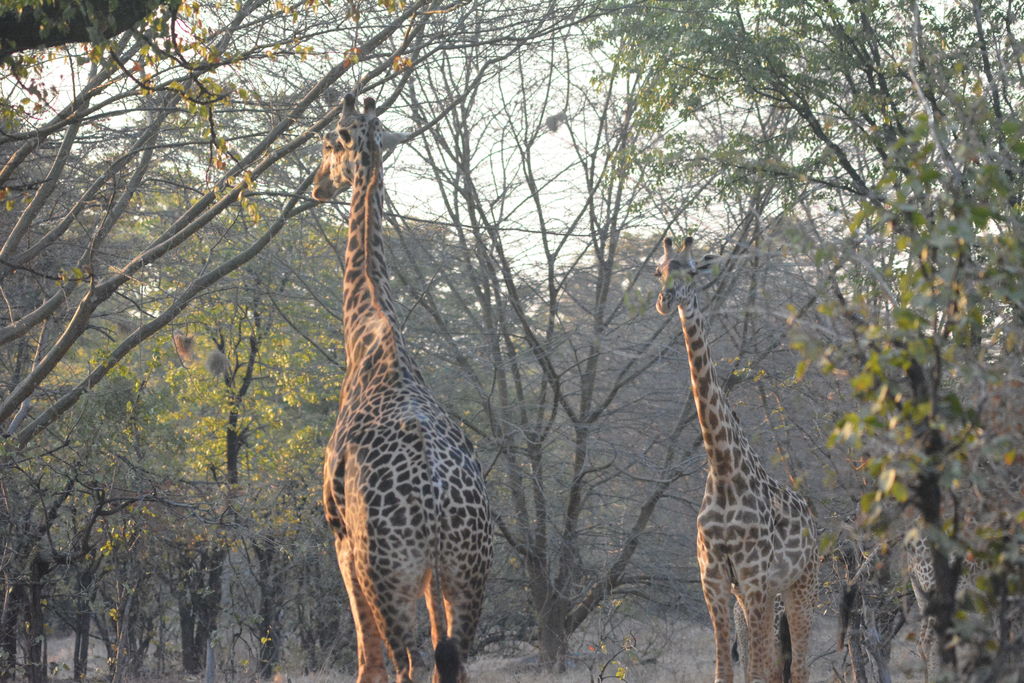 02d6bcf5-fd17-460e-b8f1-3d1913f9ea2f