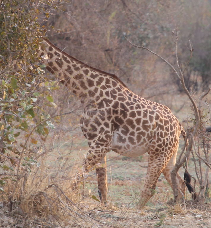 be9b4780-5a91-4048-a1bb-fdf69b2320f9