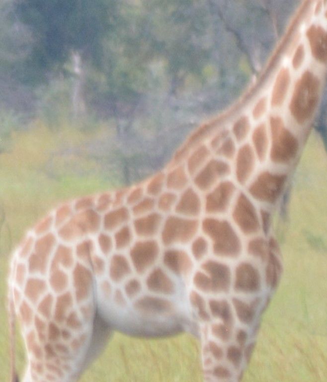 9f518e8b-a6b0-46a8-8f98-7f4aa61e9bee