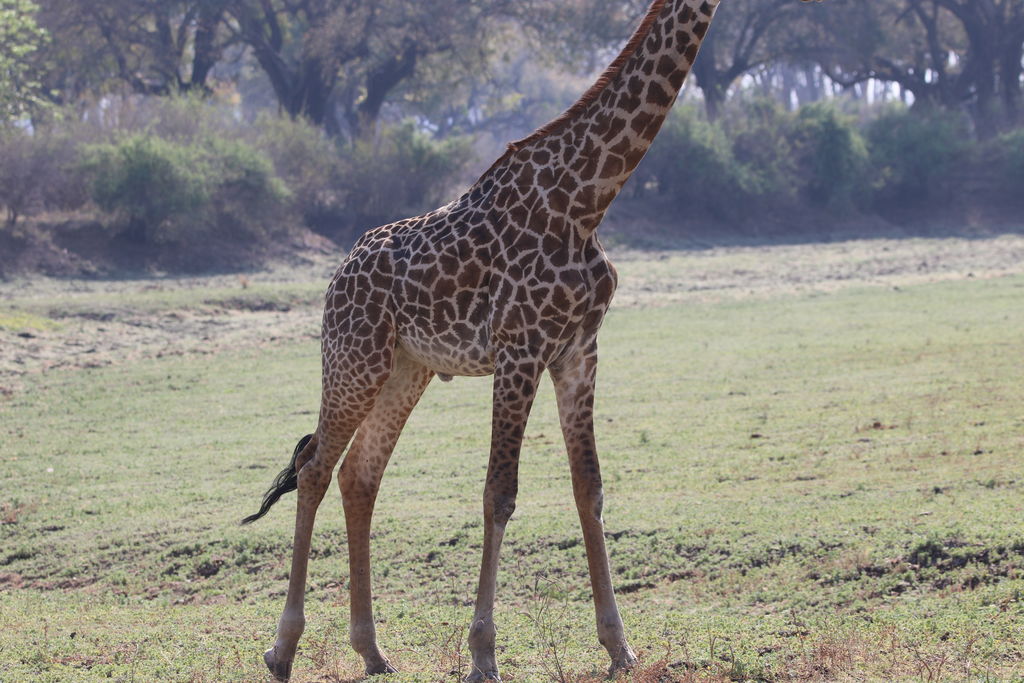 97ea1d32-00b8-4d65-900a-9f571ab830fd