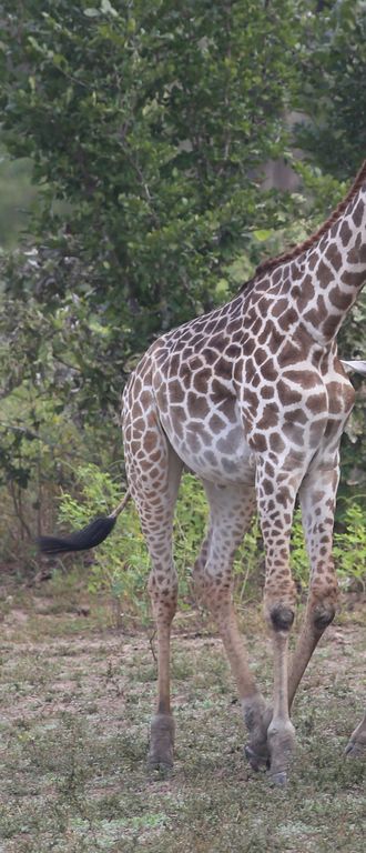 9b31fcf3-c9e8-4367-bec5-f1ddc650497e