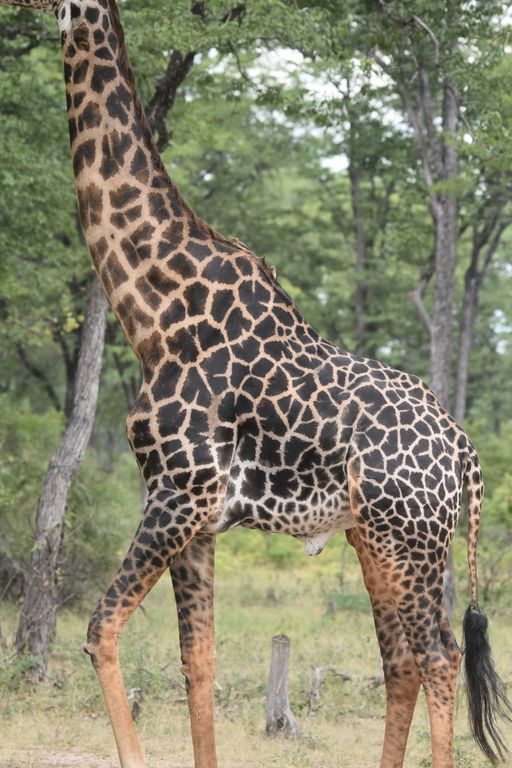 01401431-3267-442d-95b2-a415bddc84f2