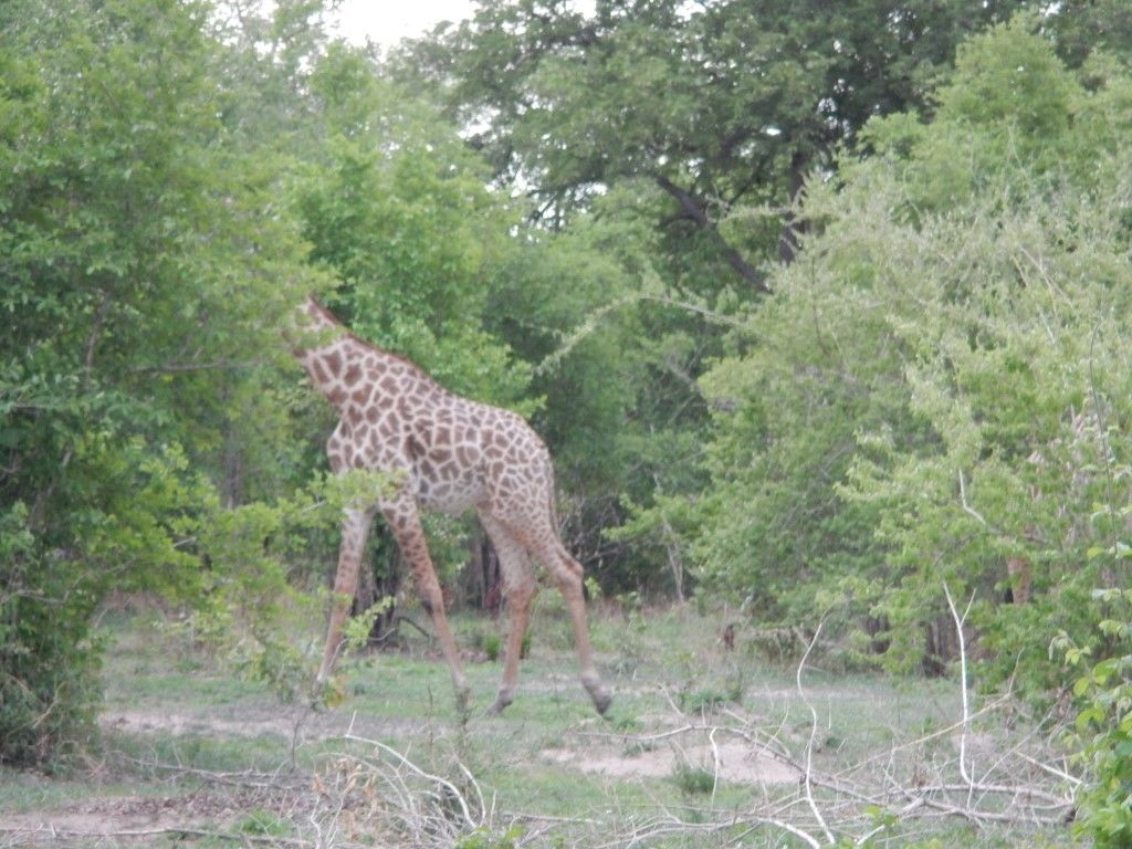 ef78987b-166d-4a4a-afd4-90d48585f17a