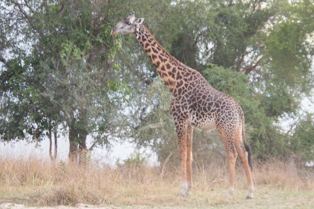 b139f8d2-6e63-40fc-a036-ee10c9266ef4