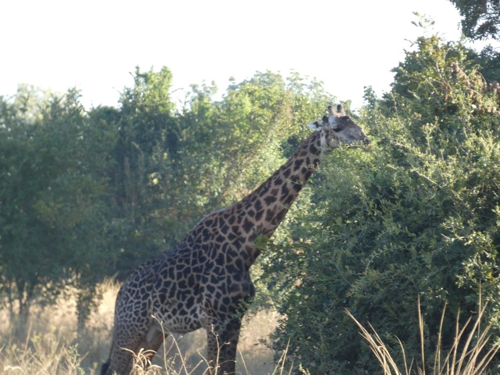 b139f8d2-6e63-40fc-a036-ee10c9266ef4