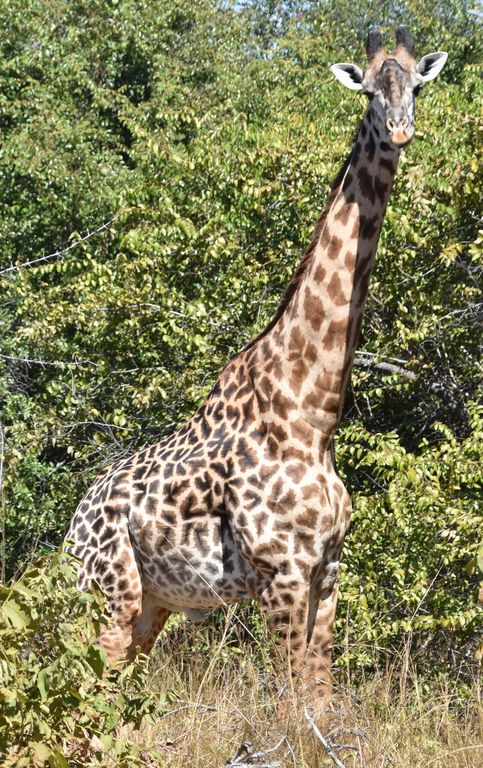 82f2fd1d-846b-448f-9e55-9452d254146b