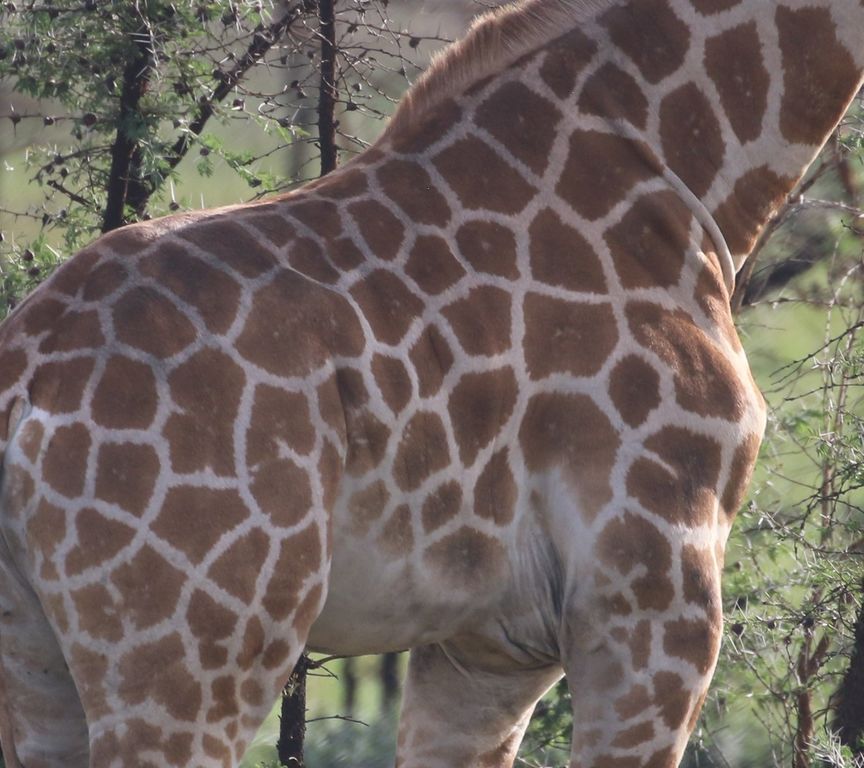 9f518e8b-a6b0-46a8-8f98-7f4aa61e9bee