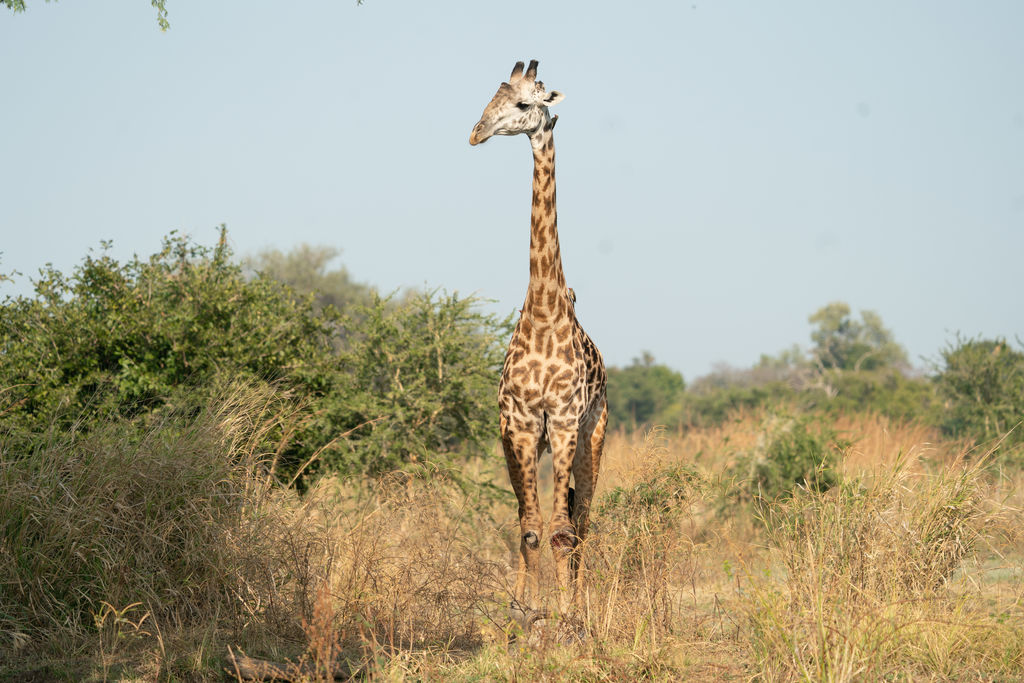 82f2fd1d-846b-448f-9e55-9452d254146b