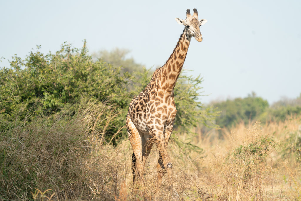 82f2fd1d-846b-448f-9e55-9452d254146b