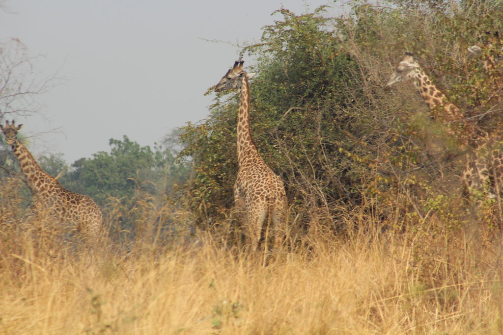 c034e484-4a10-47ce-ba57-67169f93dcc6