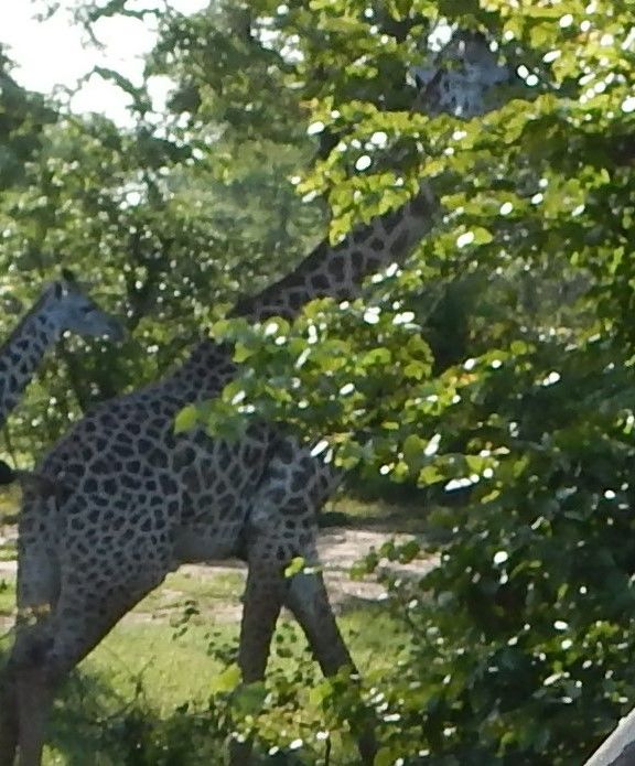 f8cd9ab2-60a9-4782-a0a9-2e3eac53ffc4