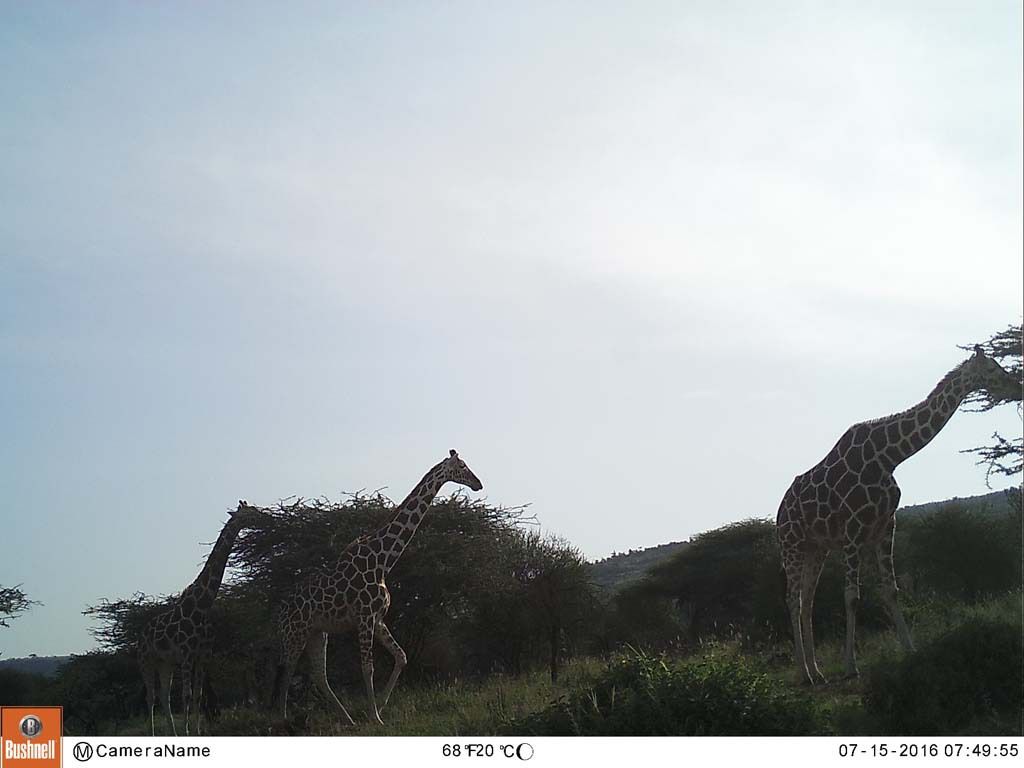 e037090d-b85e-4c26-8b28-b7cdd06bfc10