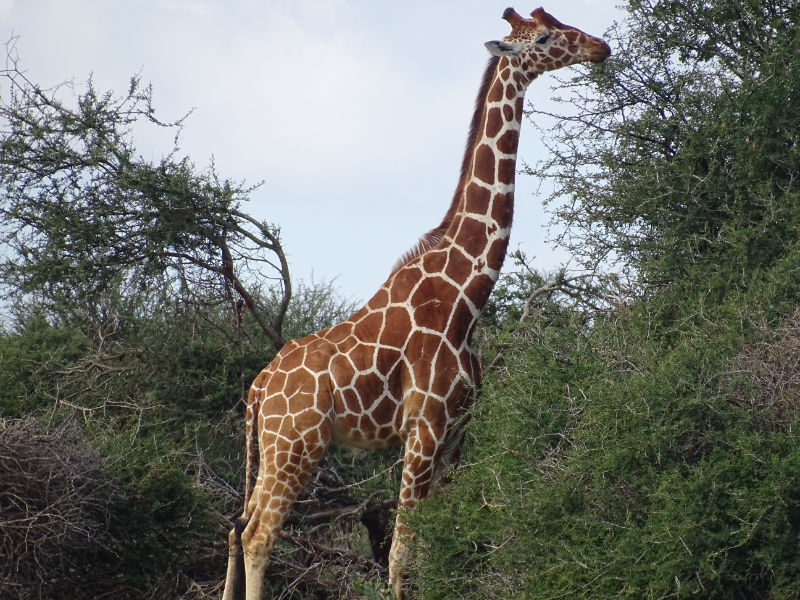 8b3a2d12-b470-4227-a6e9-e6daf88f1d6a