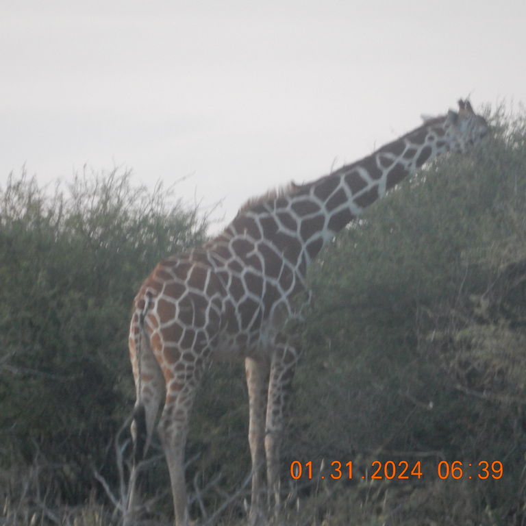 81b7b339-3570-4701-bf12-f850e57a0030