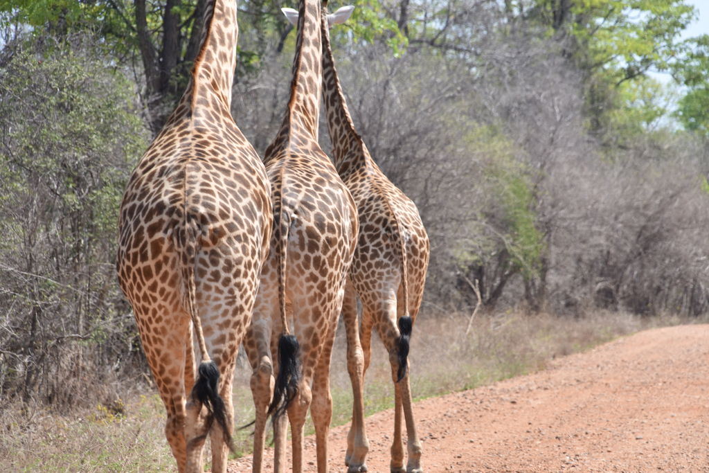 b0c8753b-d6c6-45a2-80aa-5951739c17c4