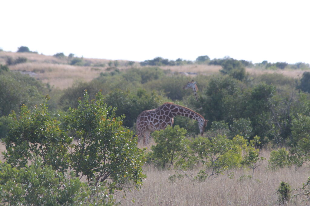 e3e27e5b-8679-4928-b99e-a9774f2e063d