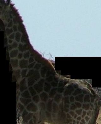 af5b8432-1a1d-4708-bef6-bdddb96114c2