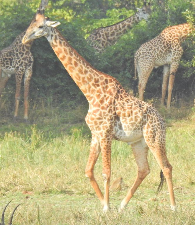 c6fa6877-5e16-45af-a627-81c583e0905f