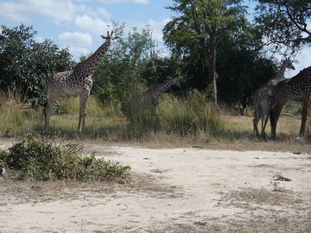 cba2683f-67b8-48d6-94f5-8bab1d558c54