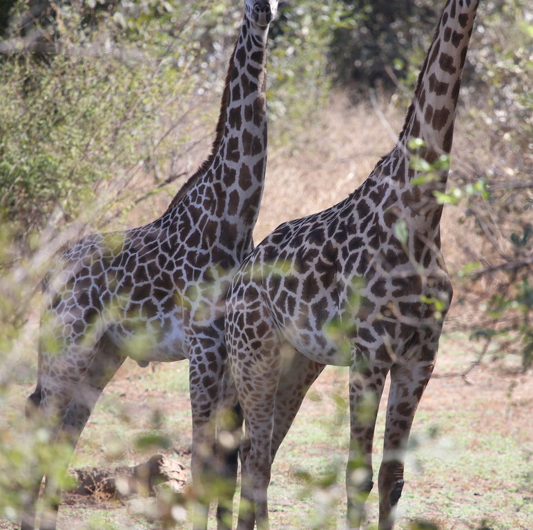 e482782e-81be-4ce1-9266-ca6a48421c72