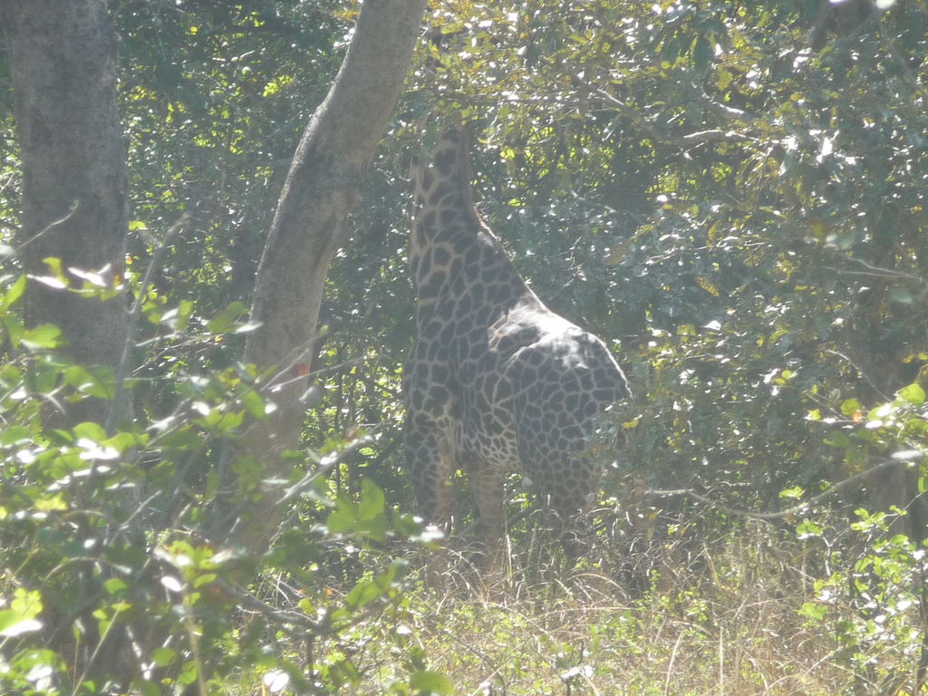 4f7b6646-1cca-4eee-9bae-5f04b4cc741e